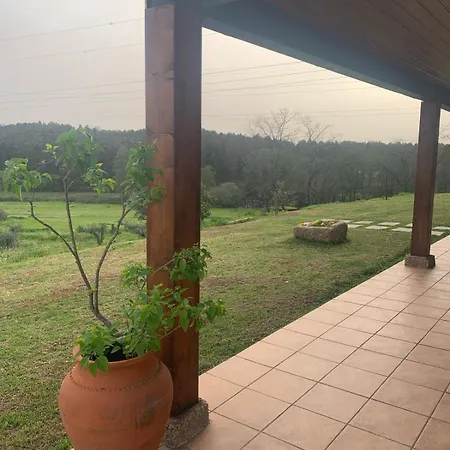 Holiday home Quinta Dos Cedros - Turismo Rural