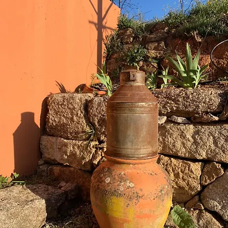 Holiday home Quinta Dos Cedros - Turismo Rural Covilha